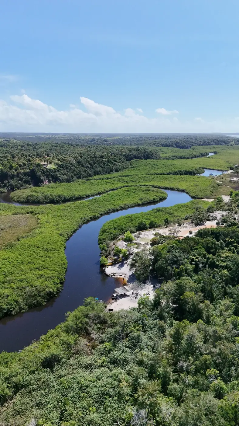 Vista do Rio Caraíva, vegetação e curvas do rio