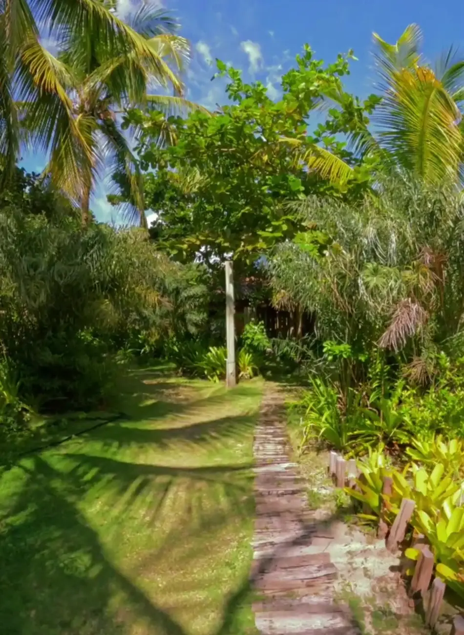O jardim de hoje