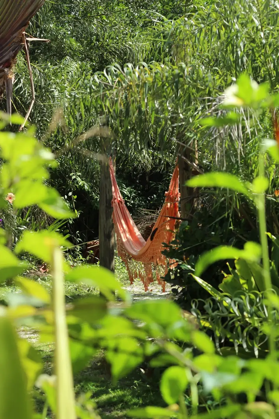 Rede de descanso cercada pela vegetação dos jardins
